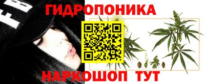 эйфоретик Тула