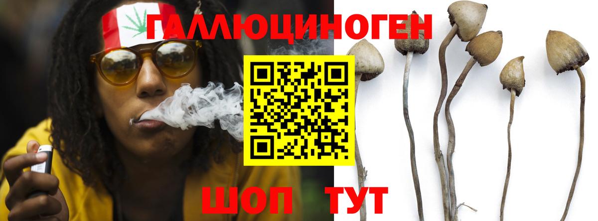 Новоалтайск  Галлюциногенные грибы мухоморы  Вход с VPN  Галлюциногенные грибы MAGIC MUSHROOMS 